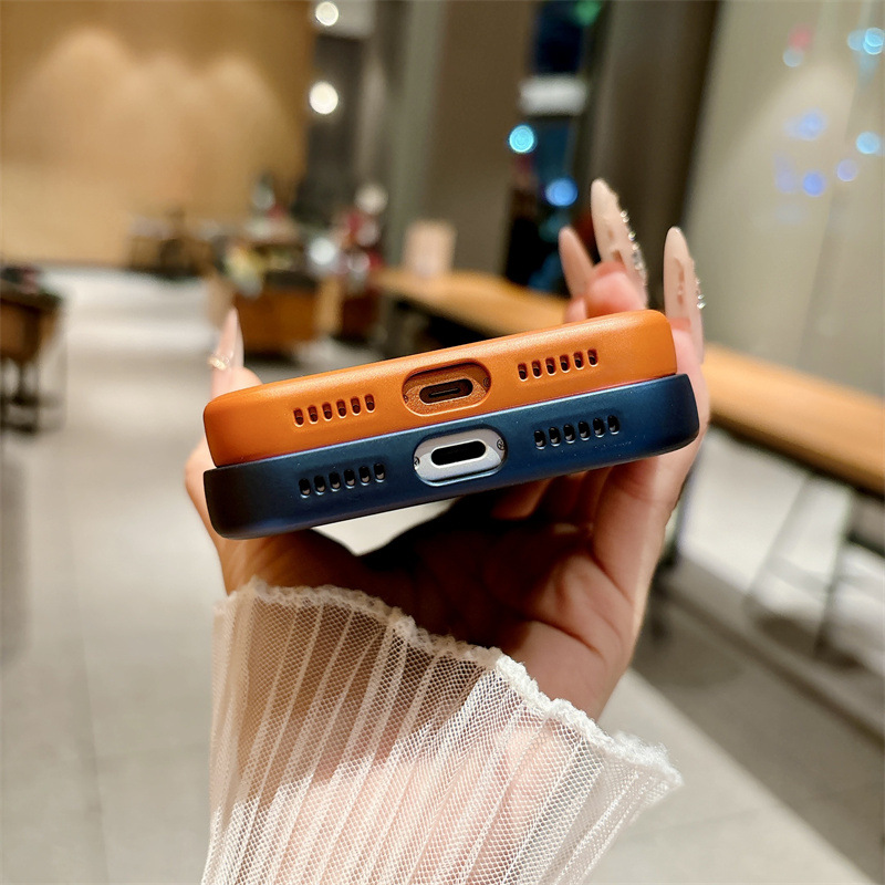 VL151 Case for iPhone