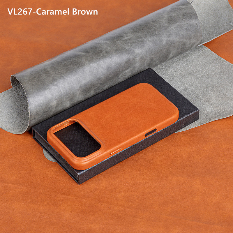 VL267 Case for iPhone